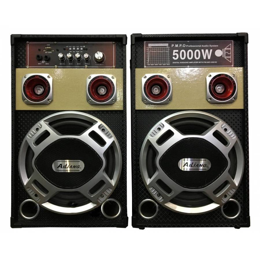 Boxe Profesionale Klausstech , Putere 100w, Conectare Prin Functia Bluetooth , Radio Fm, Port Usb, Card Sd , 2  Intrari Jack Microfon 6,3 Mm