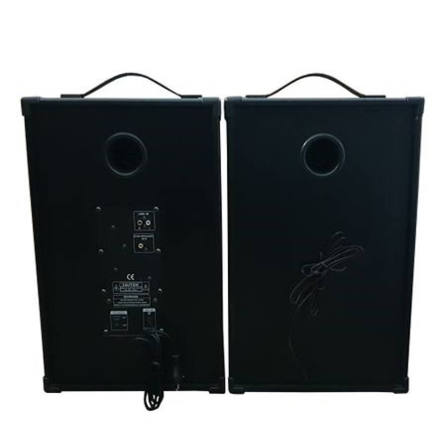 Boxe Temeisheng Active , Profesionale Audio , Conectivitate Bluetooth, Radiofm Si Usb 2 X 120w , 50hz-18khz , 4ohm  , Negru