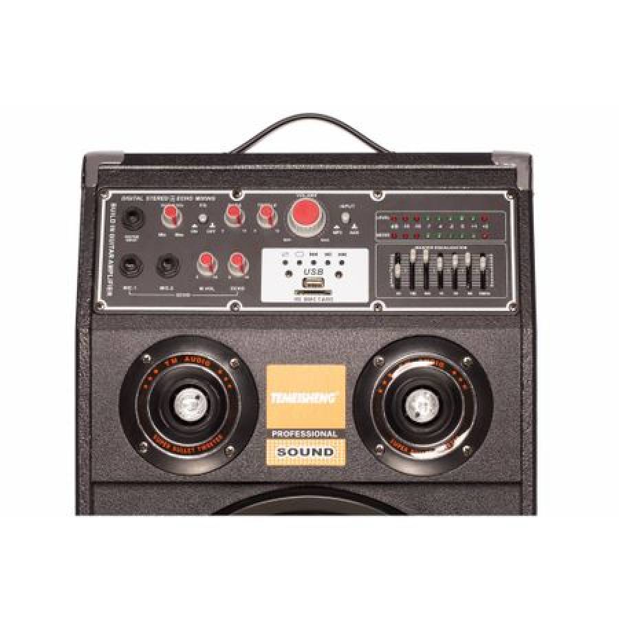 Boxe Temeisheng Active Si Pasive Cu Statie Karaoke , Port Usb , Conexiune Bluetooth , Putere Rms 300 Watt,incinta Din Lemn , Radio Fm , Material Rezistent ,  Slot Card Sd , Culoare Negru