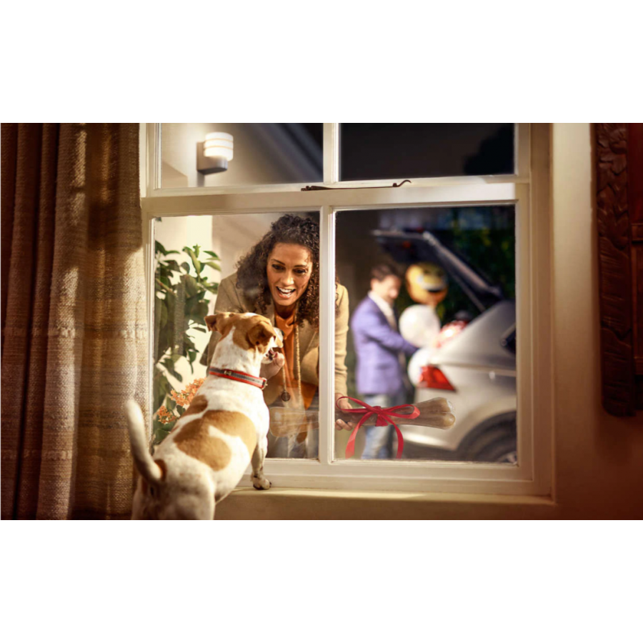 Lampa De Perete Exterior Philips, Rezistenta Ip44 La Intemperii,  Modern, Putere 9 W (60 W), 806 Lm, Material Aluminiu, Lumina Alba, Argintiu