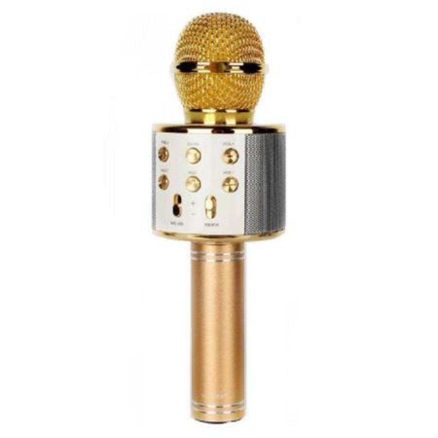 Microfon Klausstech Karaoke Cu Boxa Inclusa