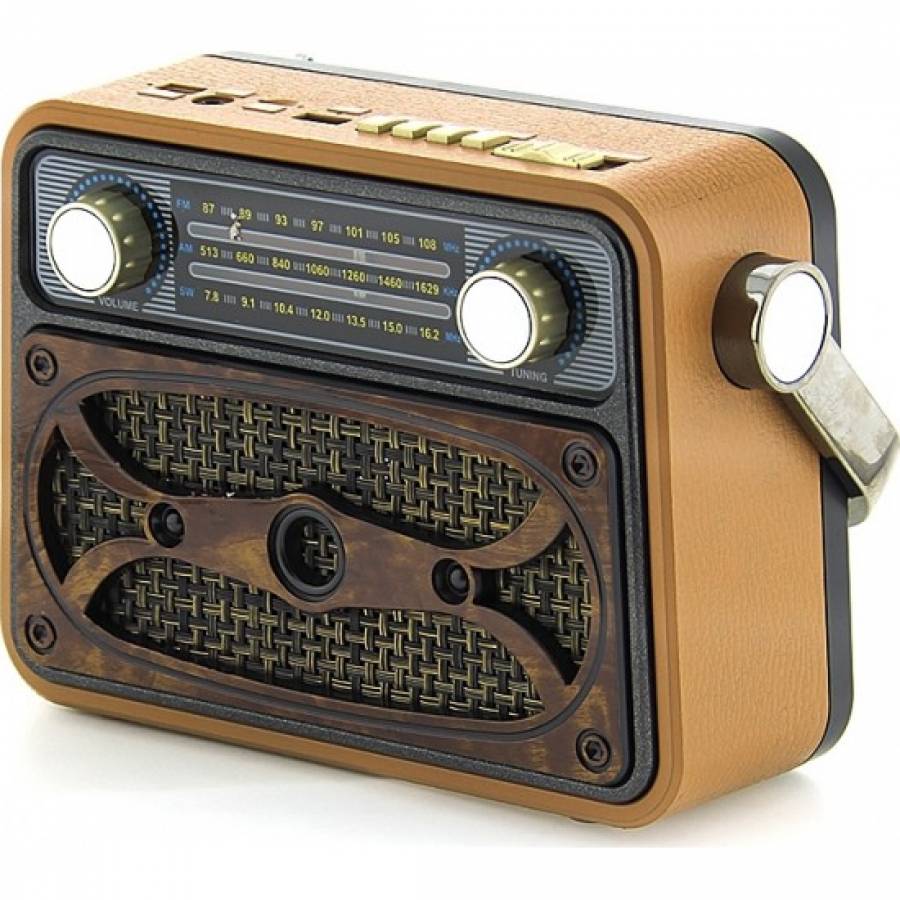 Radio Profesional Klausstech, Baterie Reincarcabila, Bluetooth, Am/fm, Difuzor Incorporat, Material Abs Plastic, Design Retro, Maro