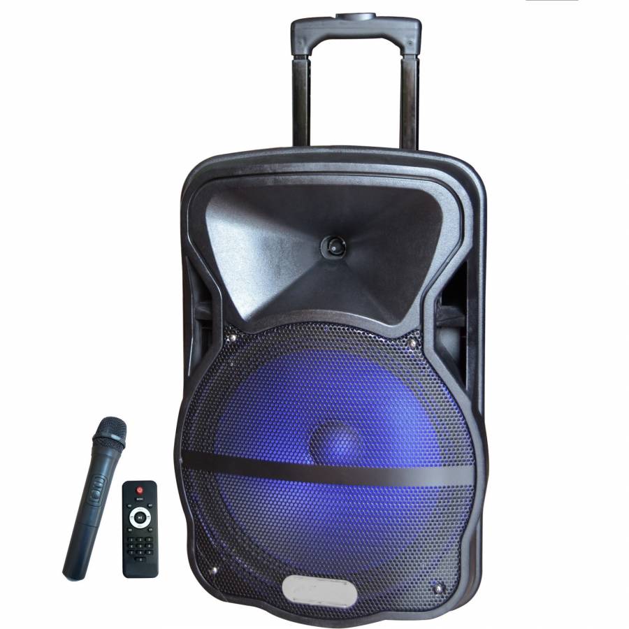 Set Boxa Profesionala Puternica , Difuzor 15