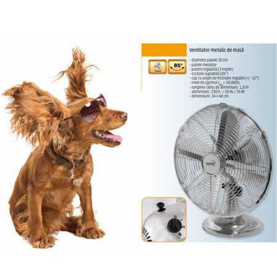 Ventilator De Birou Cromat, 35 W, Oscilare Cuplabila, Palete Metalice, Putere Reglabila 3 Trepte, Diametru Palete 30 Cm, Nivel De Zgomot 58 Db, Cap Cu Unghi De Inclinare Reglabil, Design Elegant, Argintiu