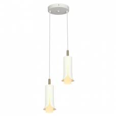 Lumina LED Alb Caldu 2x5w 3000k 2000x1770mm