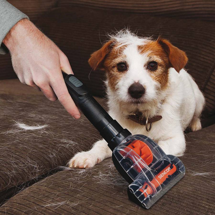 Aspirator Fara Sac 750w Sencor