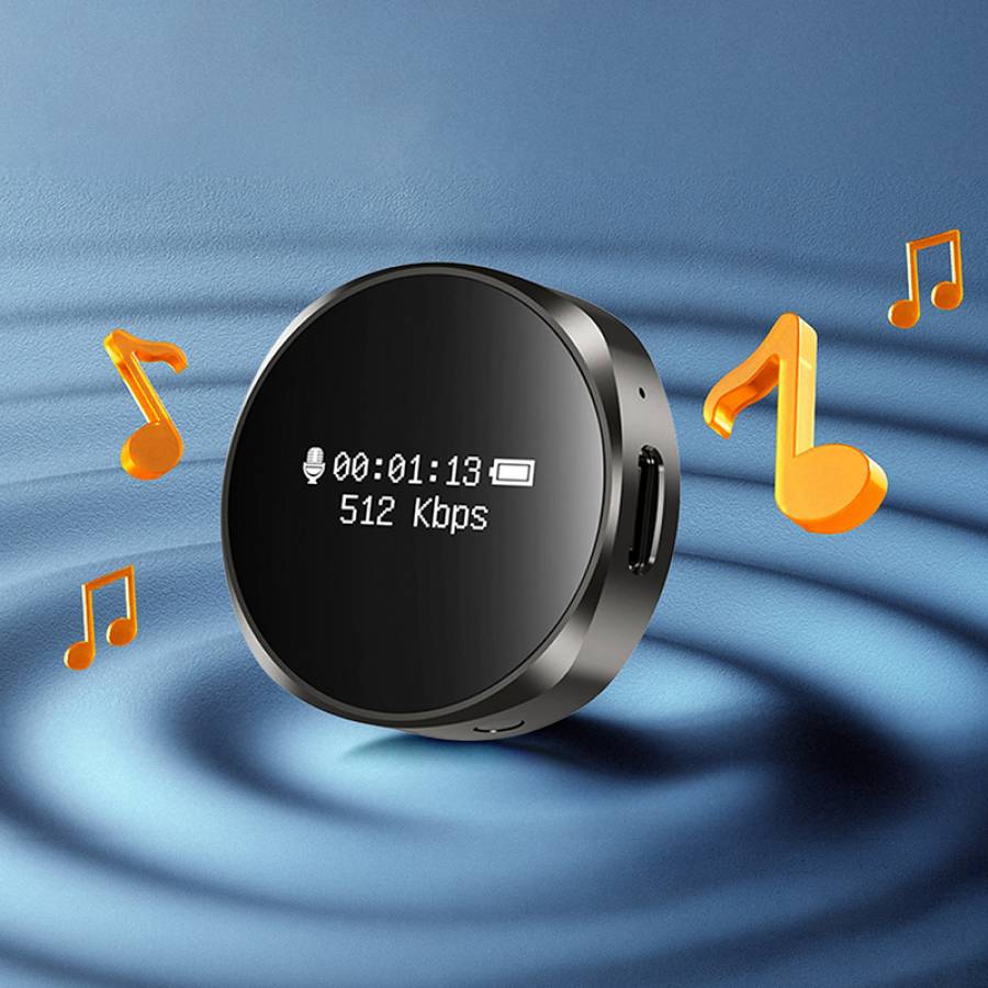 Inregistrare audio de calitate superioara, compact si usor de folosit.