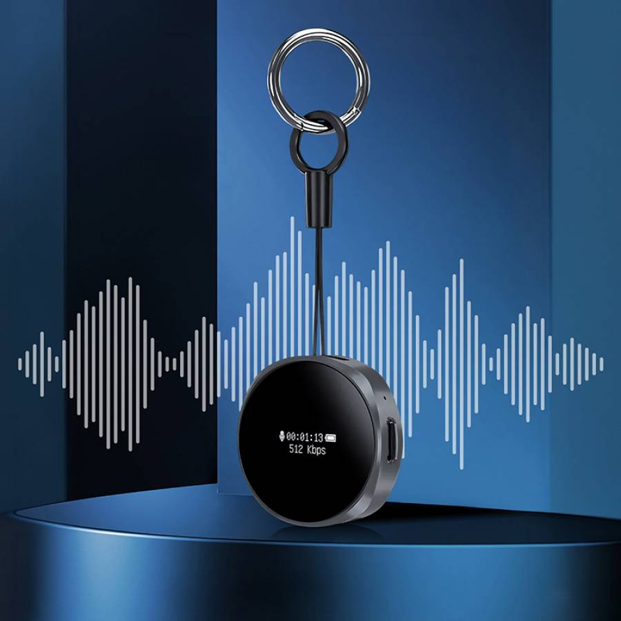 Inregistrare audio de calitate superioara, compact si usor de folosit.