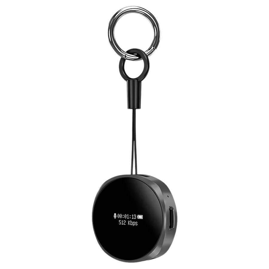 Inregistrare audio de calitate superioara, compact si usor de folosit.