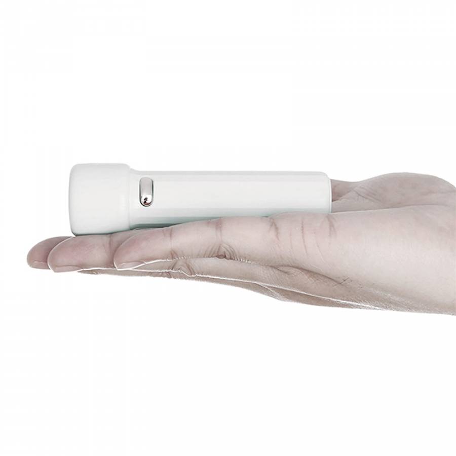 Set 30 Lanterne LED, Alb cald, Platinet