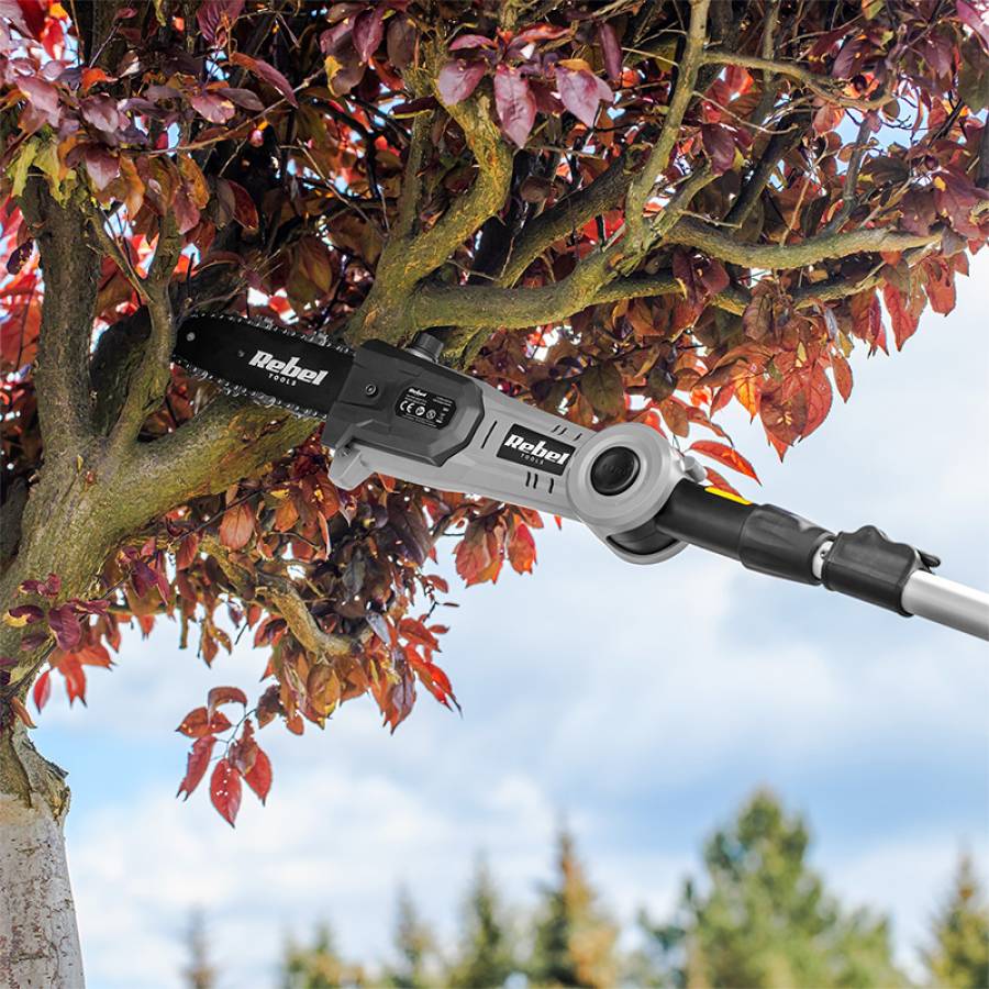 Trimmer Gard Viu-Drujba 20v Telescopic Fara Accesorii Rebel