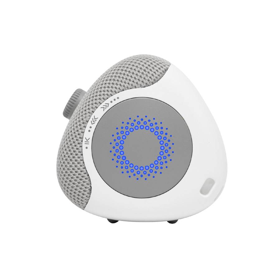 Boxa Acustica Portabila