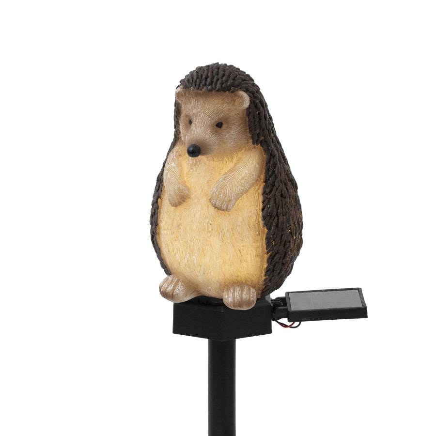 Lumina Solara De Gradina, Arici