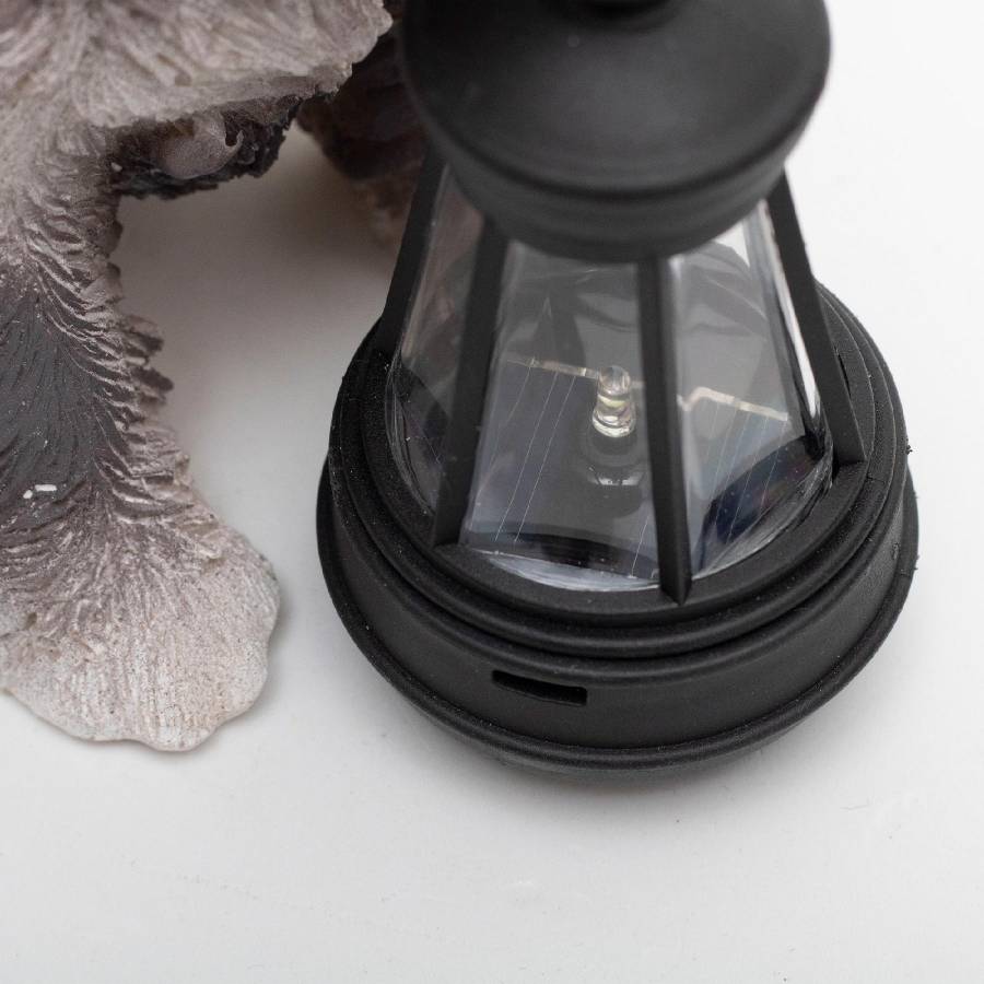 Lumina Solara De Gradina, Caini Cu Lampa, Display