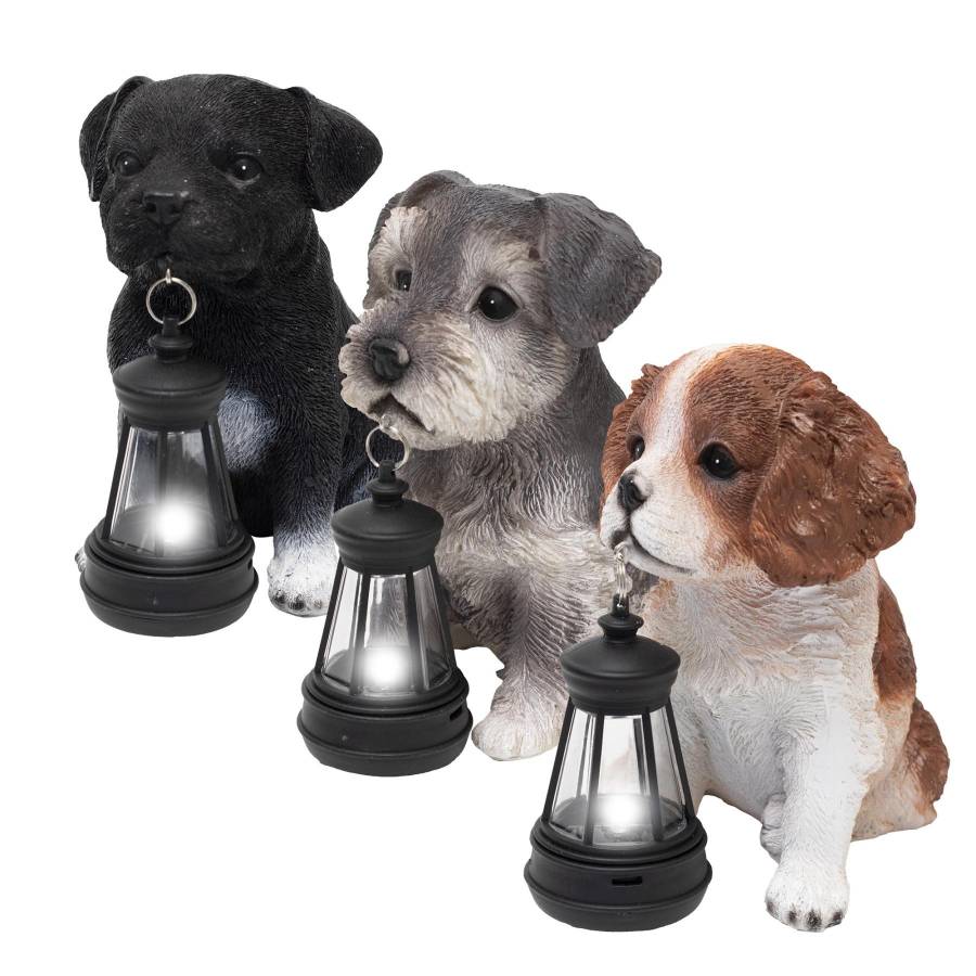 Lumina Solara De Gradina, Caini Cu Lampa, Display