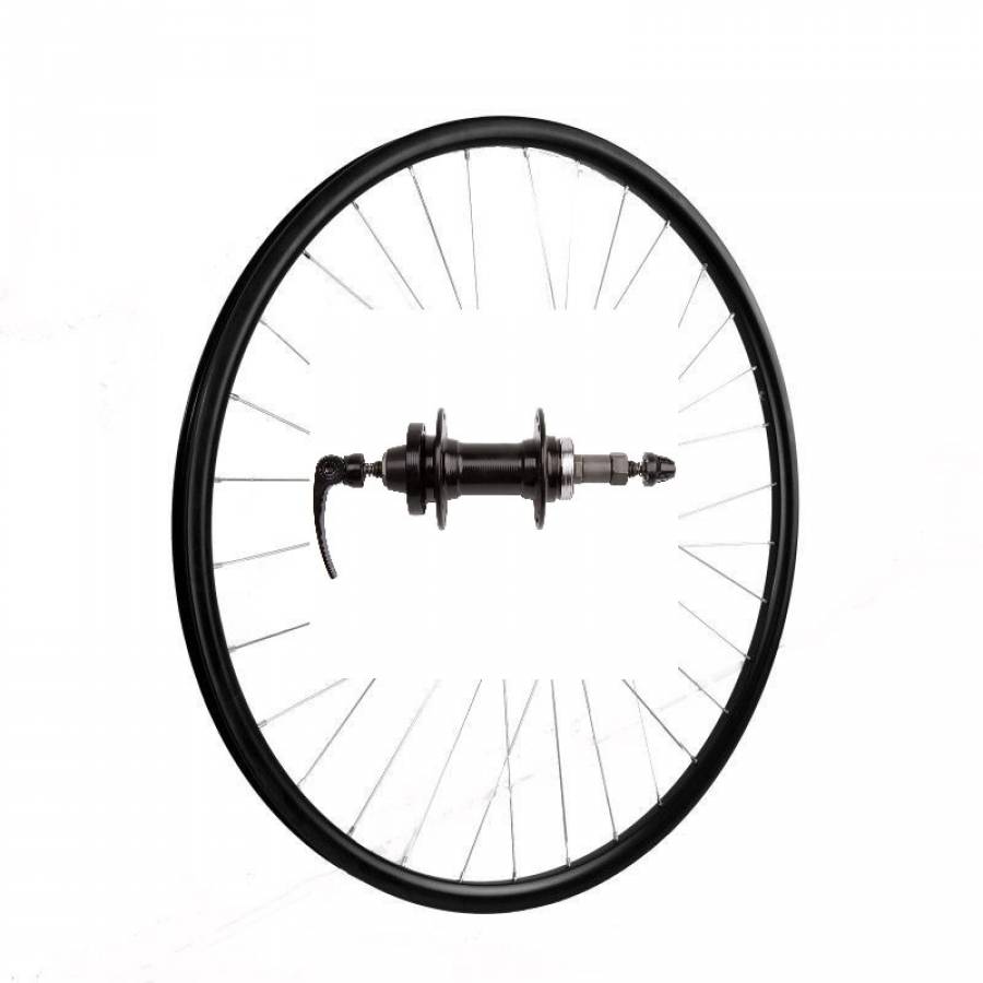 Roata Spate 29(622x19c) Sxt Basic Only-capsata-36h-fd Filetat