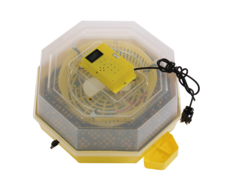 Incubator electric pentru oua, cleo 5dth, cu dispozitiv intoarcere, termohigrometru si alimentare apa din exterior