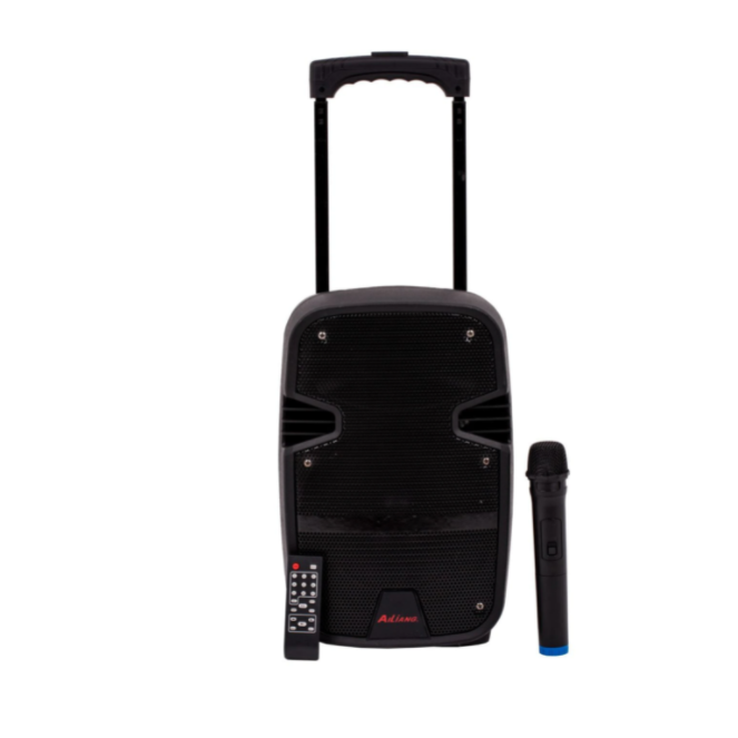 Boxa portabila tip troller, 60w rms, speaker 8 inch, bluetooth, karaoke, microfon wireless, telecomanda, joc de lumini, negru