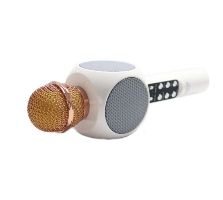 Microfon karaoke disco led hifi