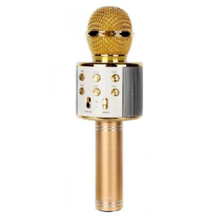 Microfon ws karaoke cu boxa inclusa