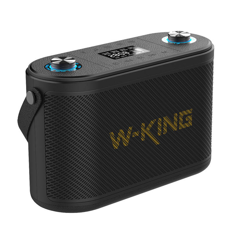 Speaker Bluetooth Wireless W-KING H10 120W Negru