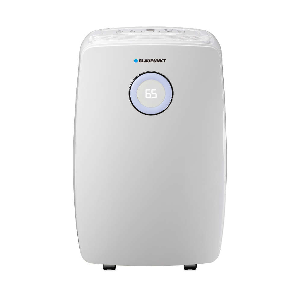 Dehumidifier with profesional air purification function
